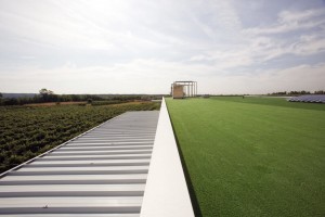 Cena zelene strehe